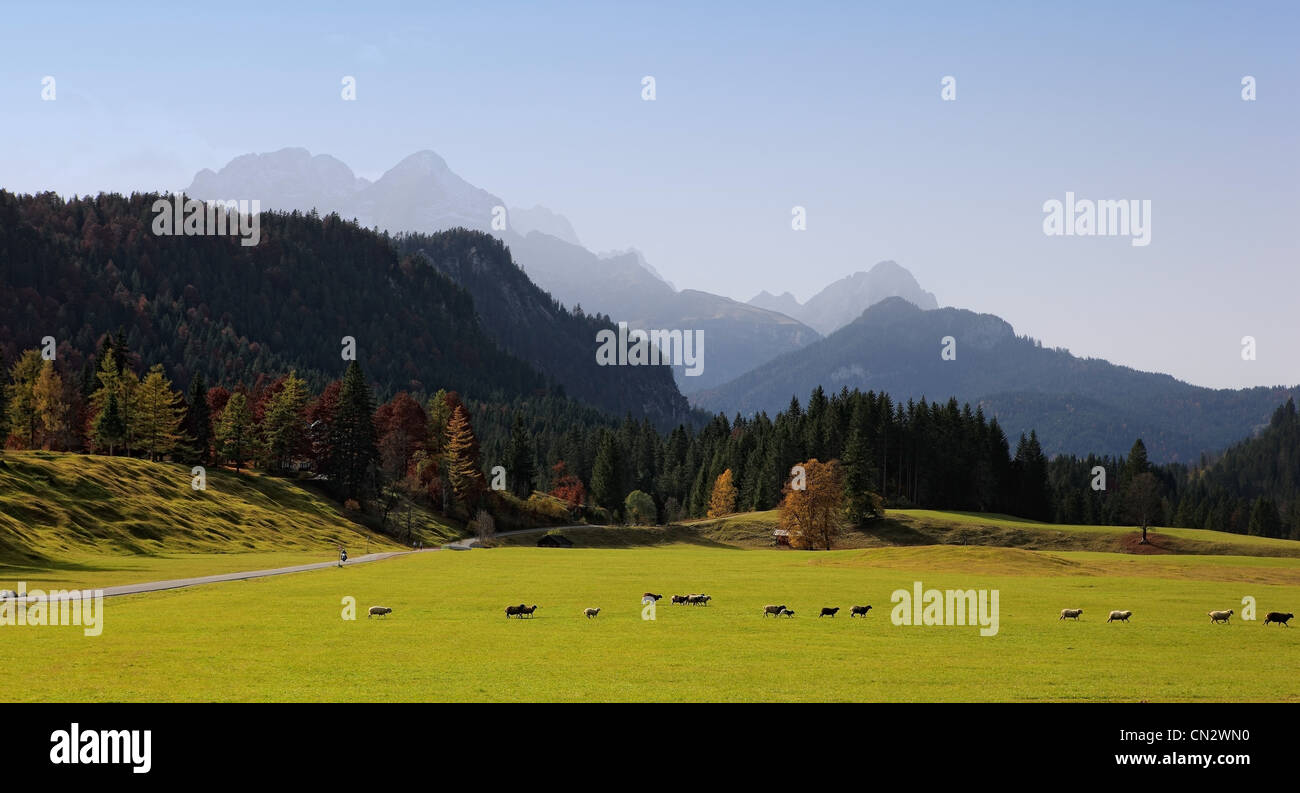 Alpi bavaresi e pascolo, Baviera, Germania Foto Stock