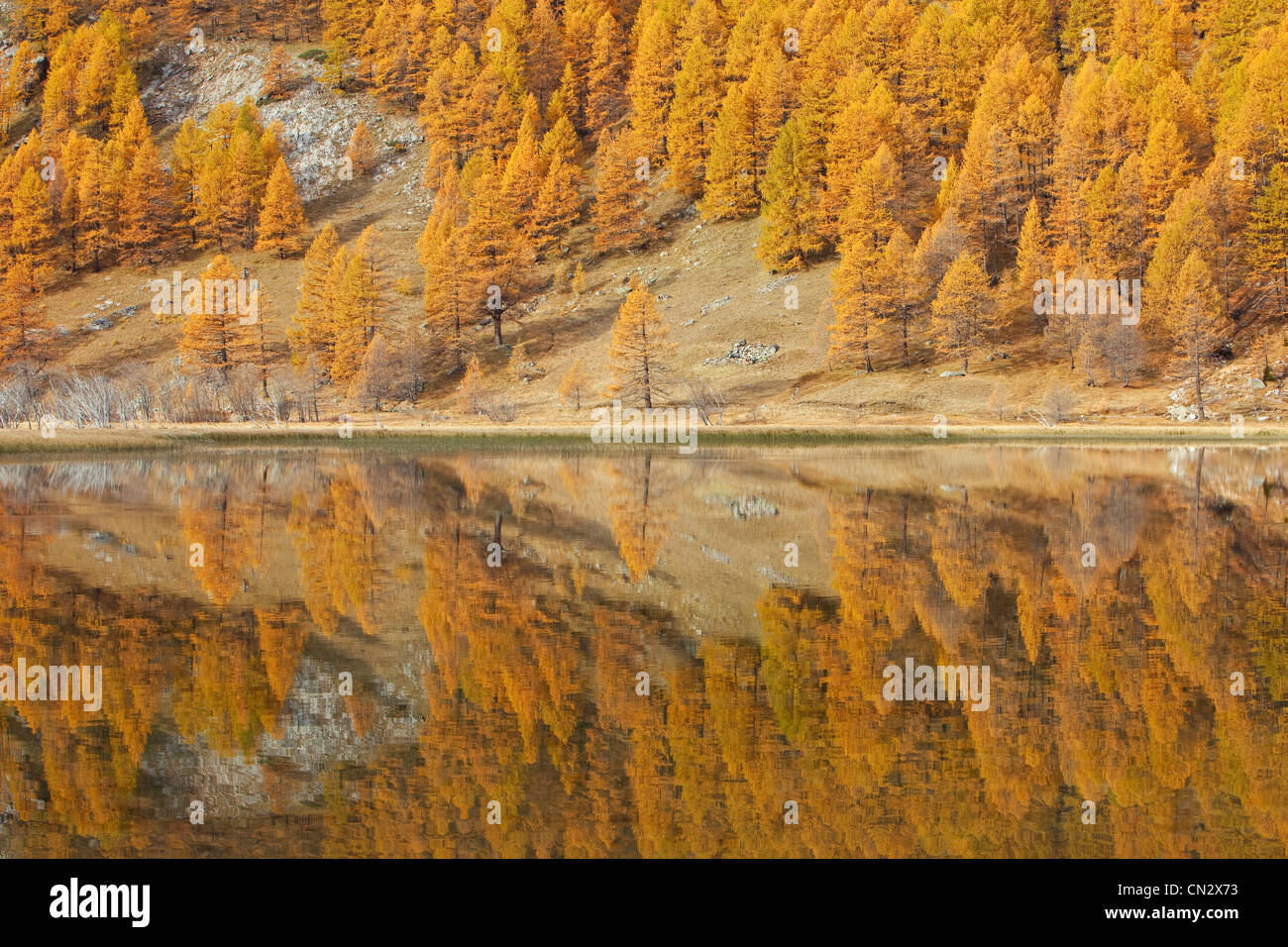 Francia, Alpes de Haute Provence, Parc national du Mercantour (Parco Nazionale del Mercantour), Haut Ubaye vicino a Jausiers, Sagnes Foto Stock