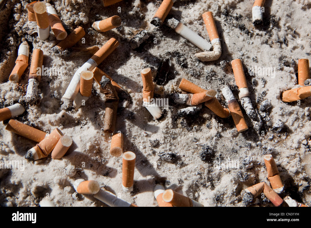 Mozziconi di sigaretta nella sabbia Foto Stock