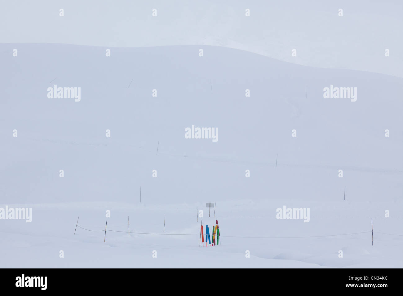 Poli multicolore nella neve, Gran Massiccio, sulle Alpi francesi Foto Stock