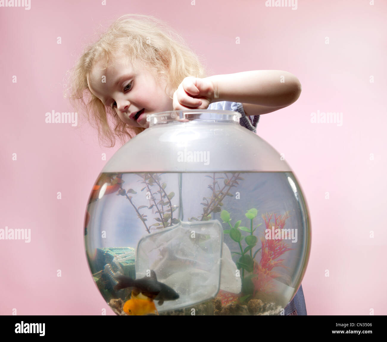 Ragazza giovane con la rete da pesca e Goldfish Bowl Foto Stock