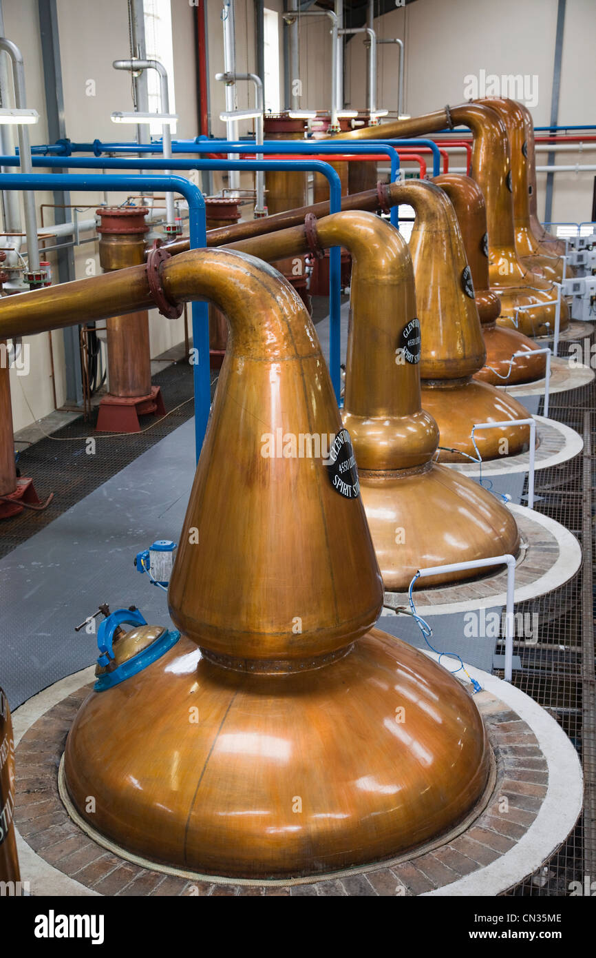 La Scozia, Speyside, Dufftown, Glenfiddich distilleria di whisky, alambicchi di rame Foto Stock