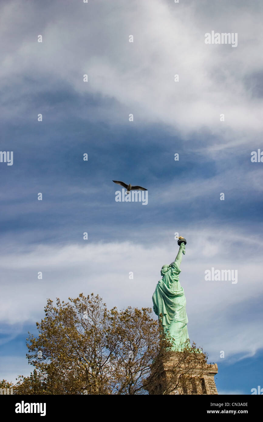 Uccello volando sopra la Statua della Libertà, New York Foto Stock