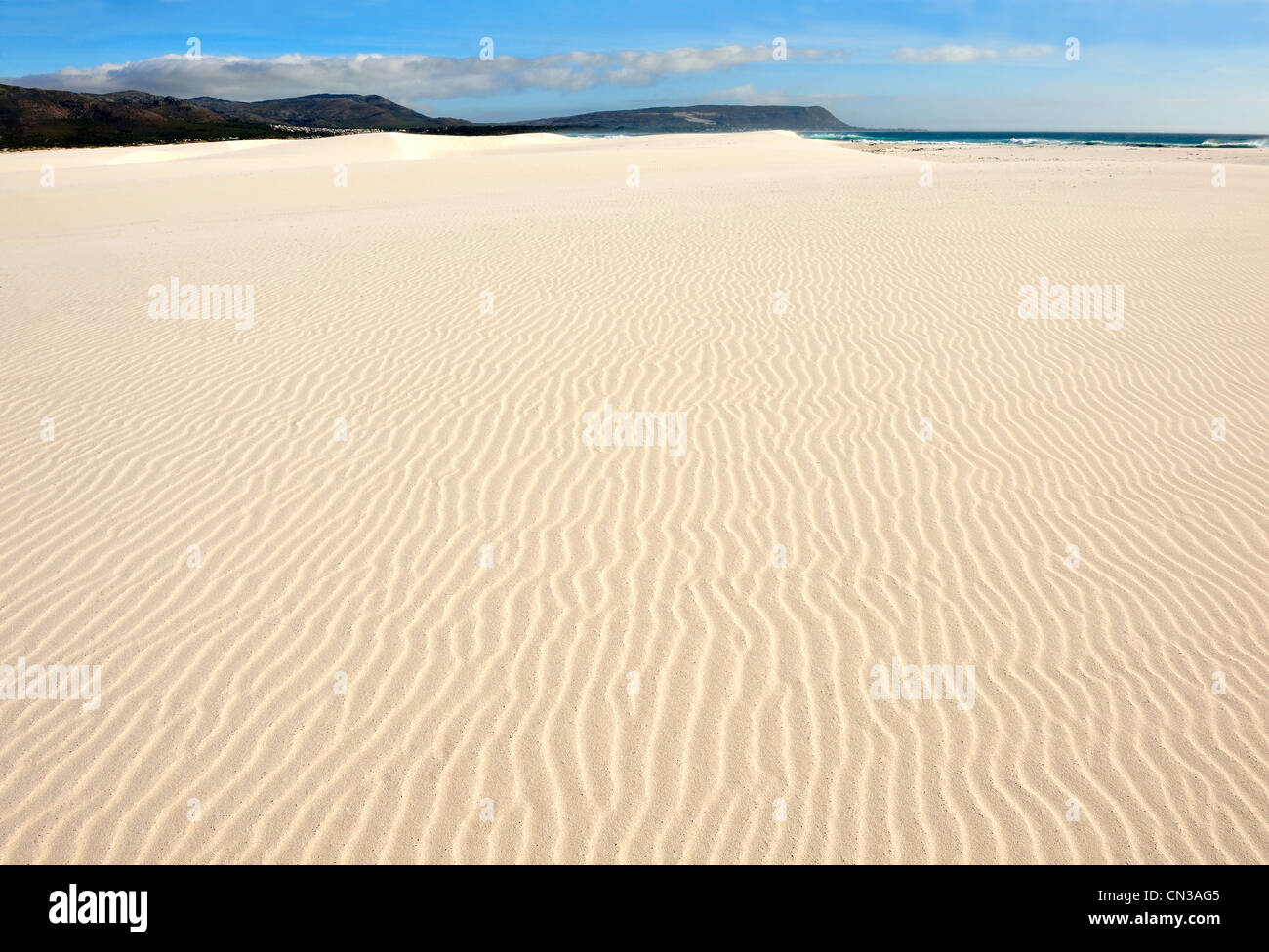Dune di sabbia Foto Stock
