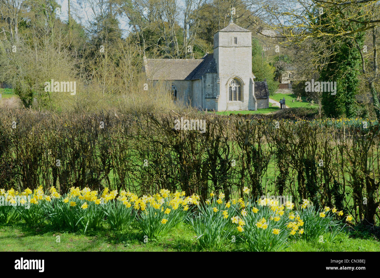 Eastleach Martin chiesa, la famosa area per narcisi Foto Stock