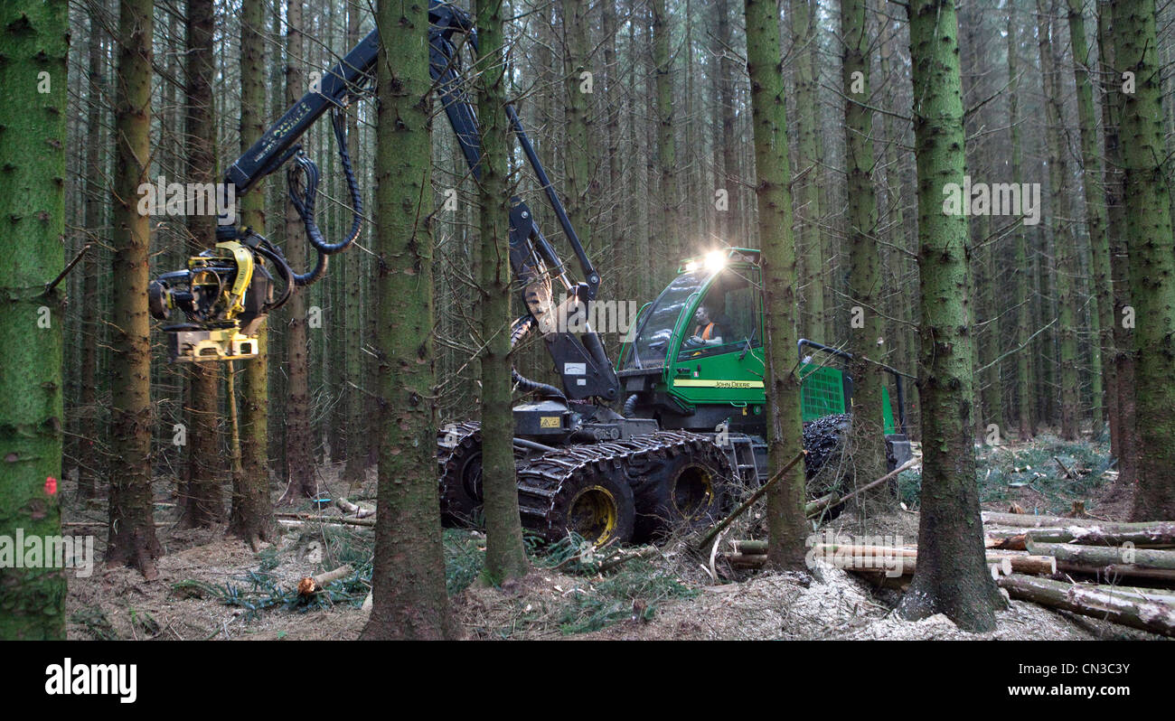 Silvicoltura il taglio di alberi in una foresta con un John Deere Harvester vicino al villaggio di ae, Dumfries and Galloway, Scotland, Regno Unito Foto Stock
