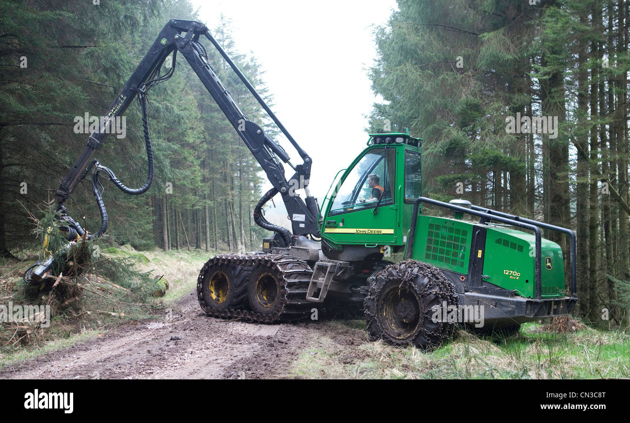 Silvicoltura il taglio di alberi in una foresta con un John Deere Harvester vicino al villaggio di ae, Dumfries and Galloway, Scotland, Regno Unito Foto Stock