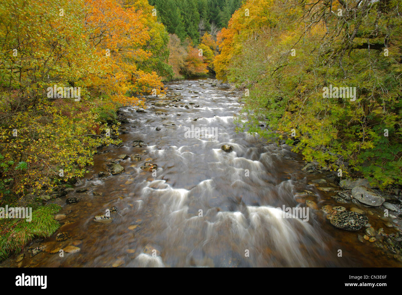 Il fiume Ystwyth in autunno. Il Hafod, vicino Pontrhydygroes, Ceredigion, Galles. Foto Stock