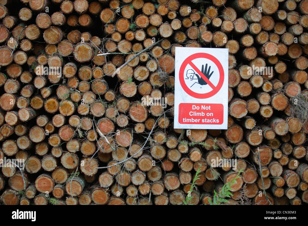 Segnale di avvertimento su un registro stack. Nella Foresta di Dean, Gloucestershire, Inghilterra. Settembre. Foto Stock