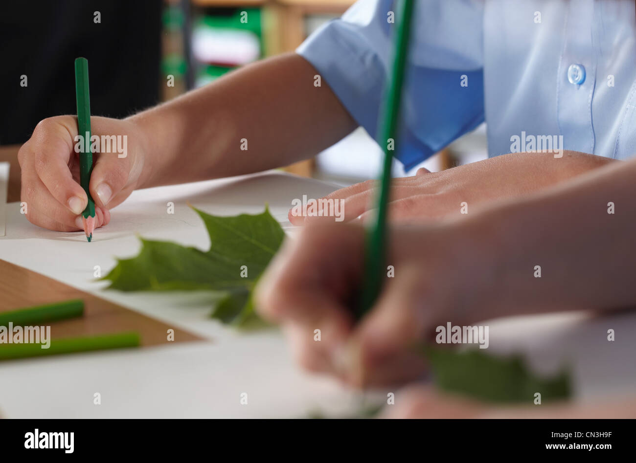 Bambini della Scuola di disegno di foglie in una classe Foto Stock