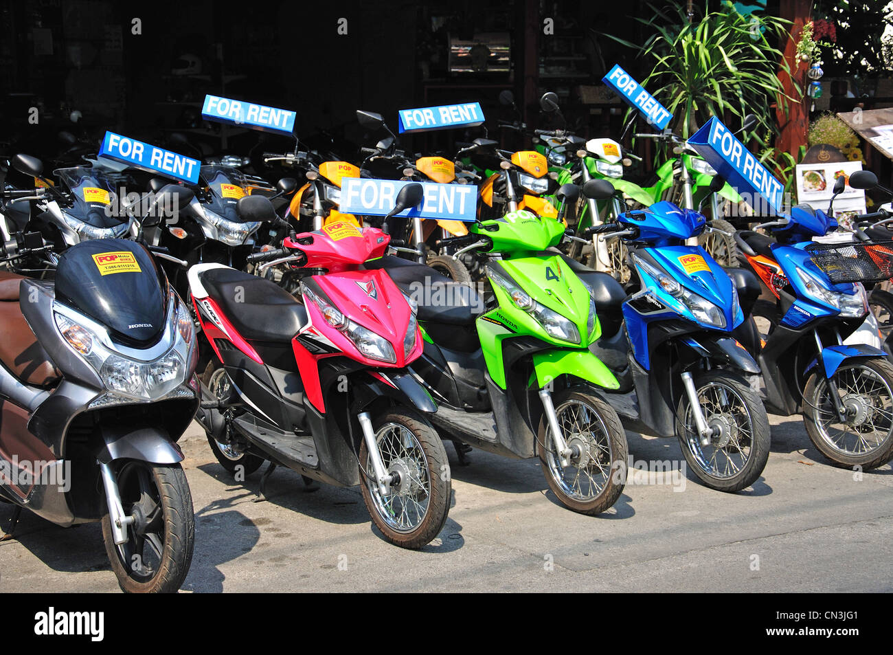 Noleggiare scooter al di fuori del negozio, Ratmakka Road, Mueang Chiang Mai e Chiang Mai e Chiang Mai Provincia, Thailandia Foto Stock