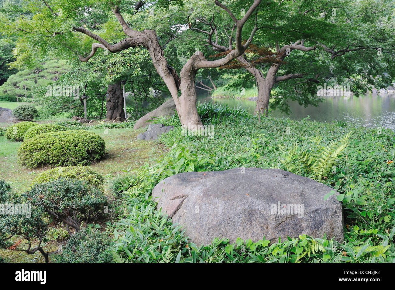 Paesaggio panoramico nel famoso giardino zen, Korakuen a Tokyo in Giappone Foto Stock