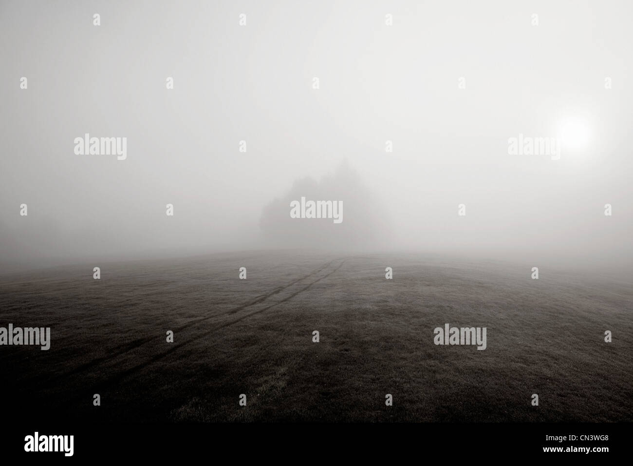 La nebbia oltre la collina e alberi lontani Foto Stock