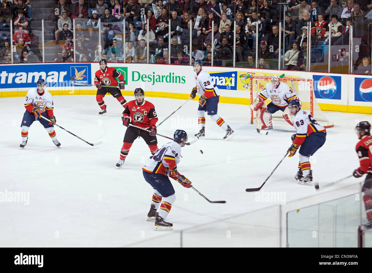 Canada, Provincia di Quebec Quebec, l'arena del Colosseo complesso sportivo, ice hockey team Quebec Remparts gioco Foto Stock