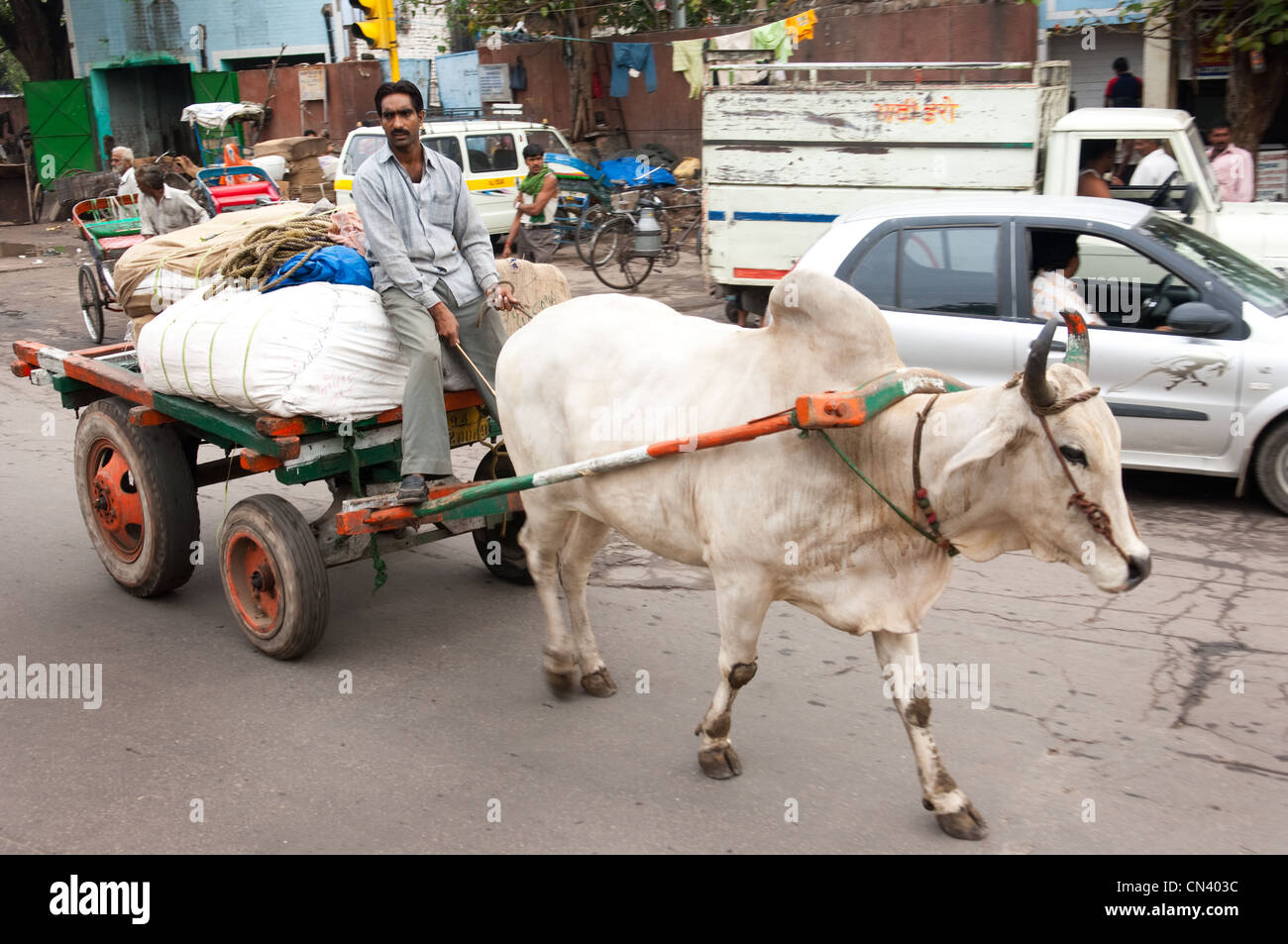 Una mucca tira un carrello in un Indiano street Foto Stock