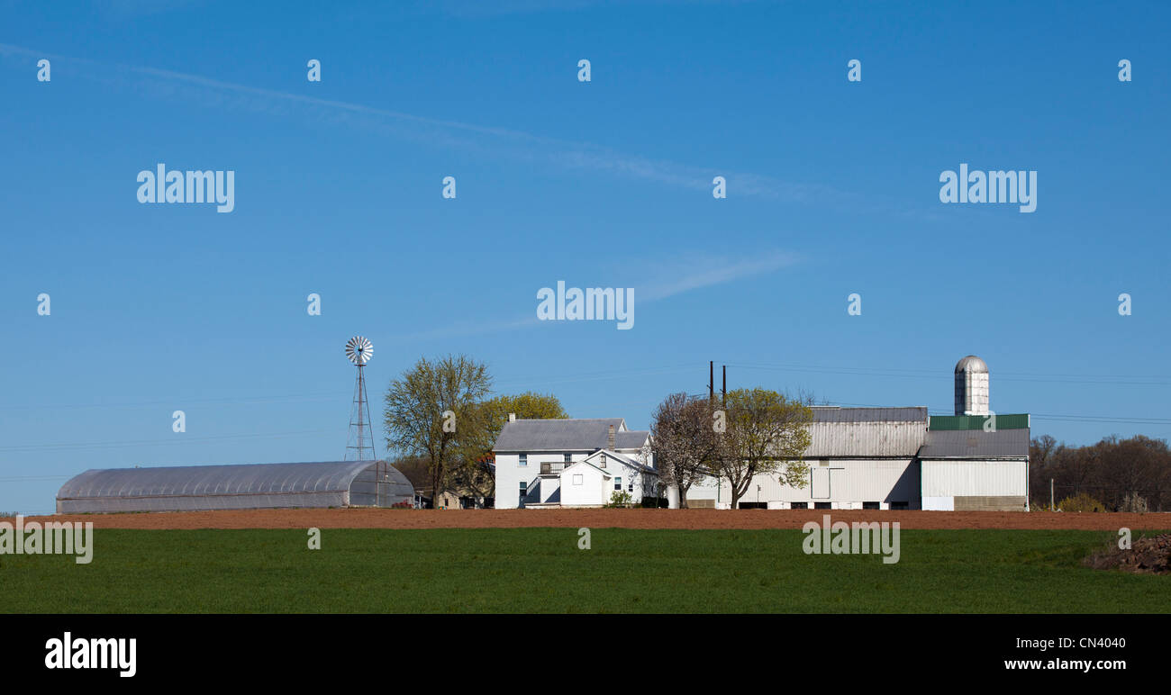 Amish mennonita farm in Lancaster County Pennsylvania USA. Foto Stock