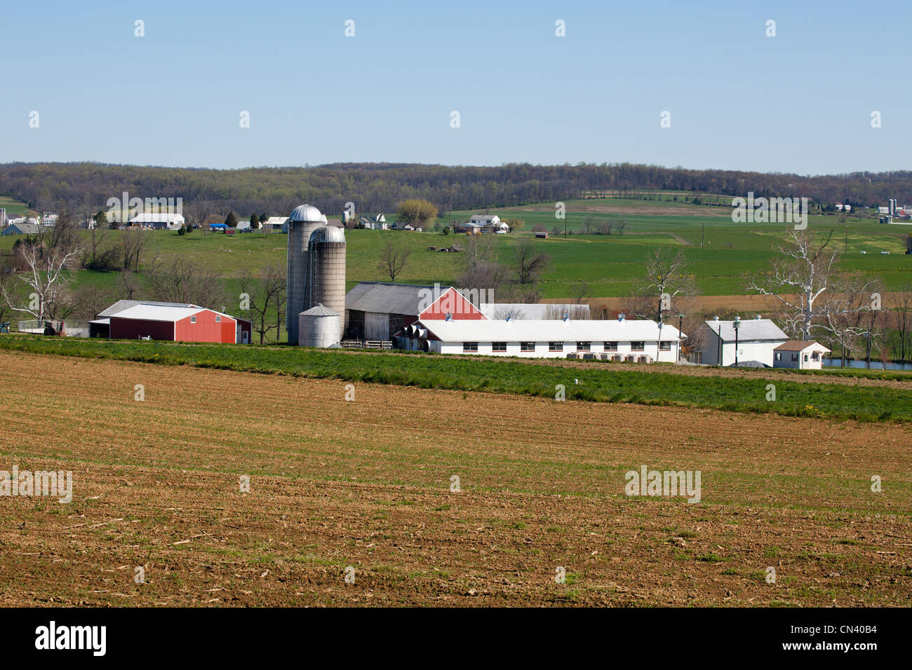 Amish mennonita farm in Lancaster County Pennsylvania USA. Foto Stock