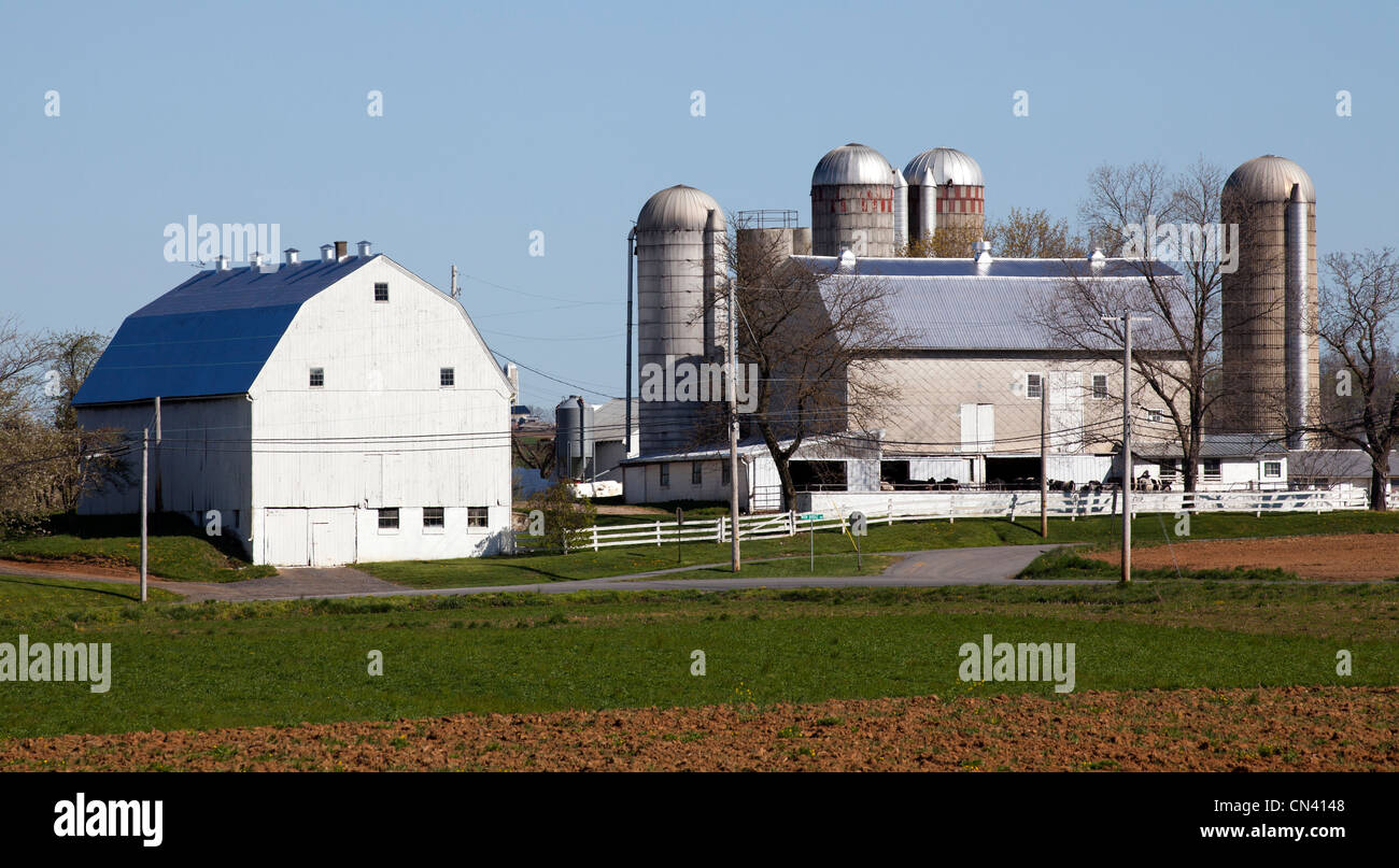 Amish mennonita farm in Lancaster County Pennsylvania USA. Foto Stock