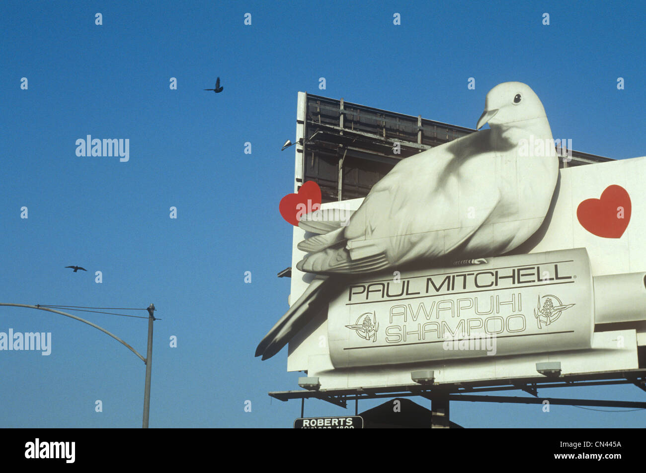 Tabellone a Los Angeles con gli uccelli Foto Stock
