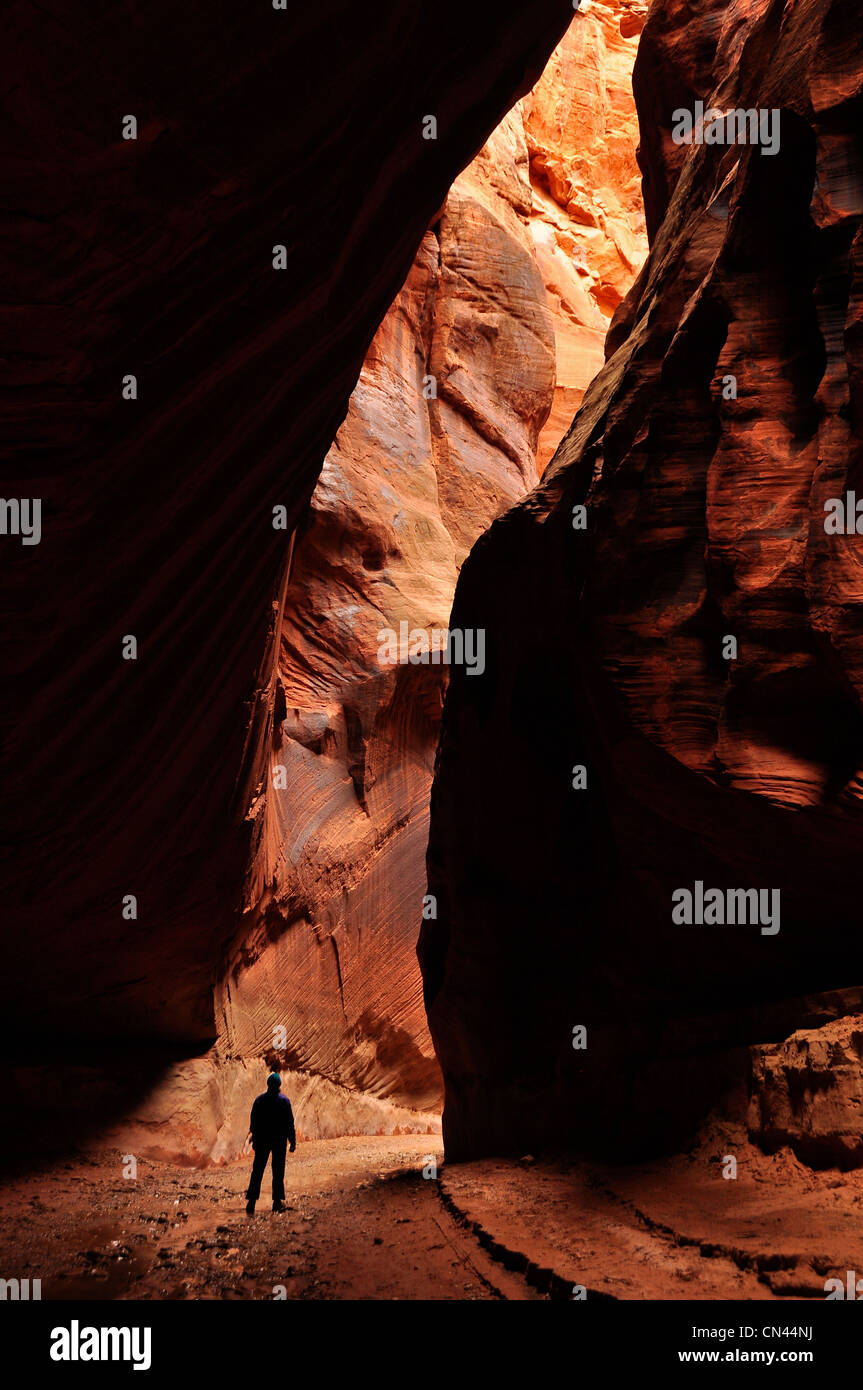 Escursionista in si restringe di daino, Gulch Paria Canyon - Vermilion Cliffs Wilderness, Utah. Foto Stock