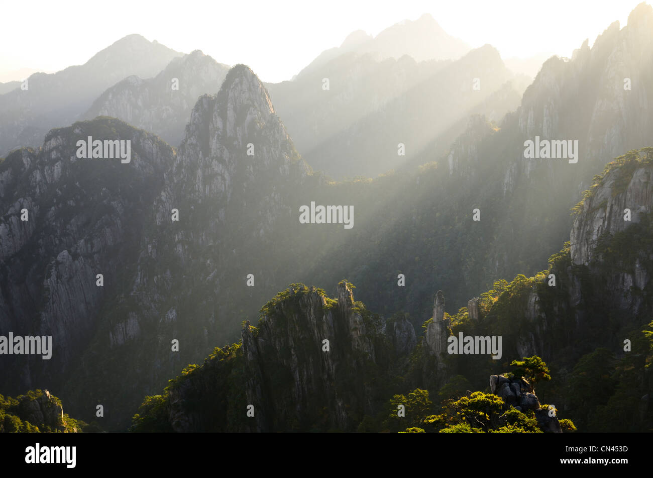 Striature di luce del mattino sul cammello indietro picchi dalla fresca terrazza mare del Nord Huangshan gialle di montagna Repubblica Popolare Cinese Foto Stock