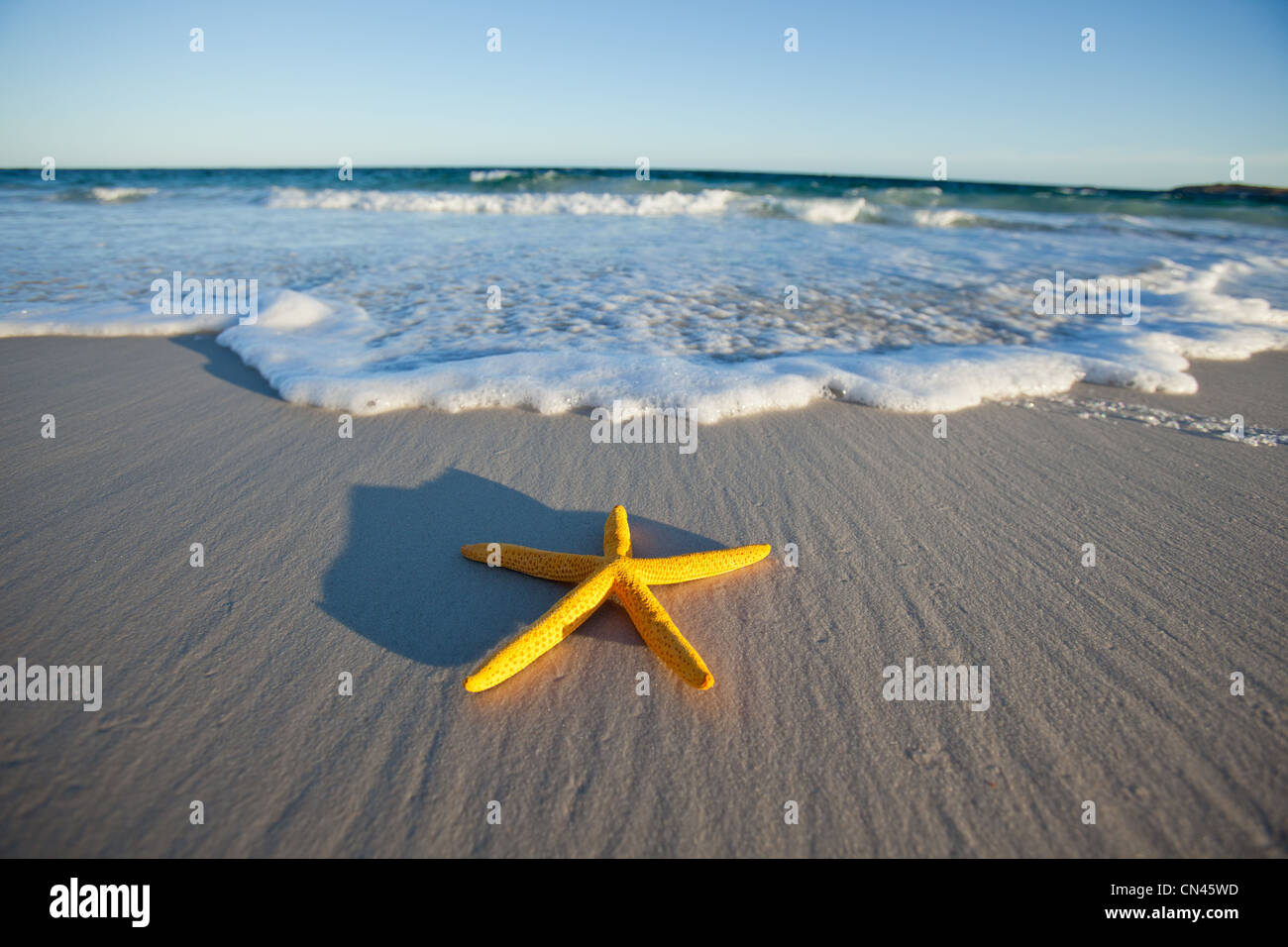 Stella gialla su una spiaggia del Sud Australia Foto Stock