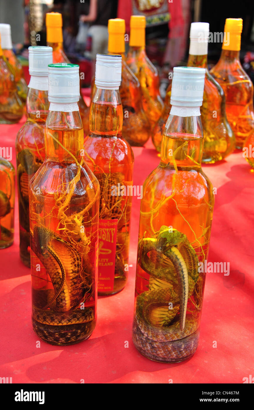 Cobra vino per la vendita nel mercato turistico, Don Sae, Pak Tha Regione, Provincia Bokèo, Laos Foto Stock