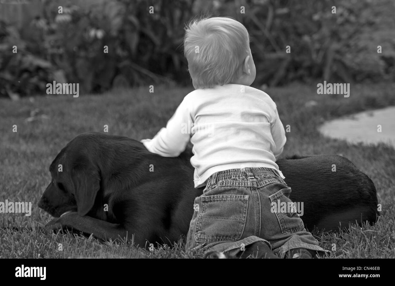 Un ragazzo si appoggia sulla sua famiglia del cane mentre la riproduzione in cantiere. Foto Stock