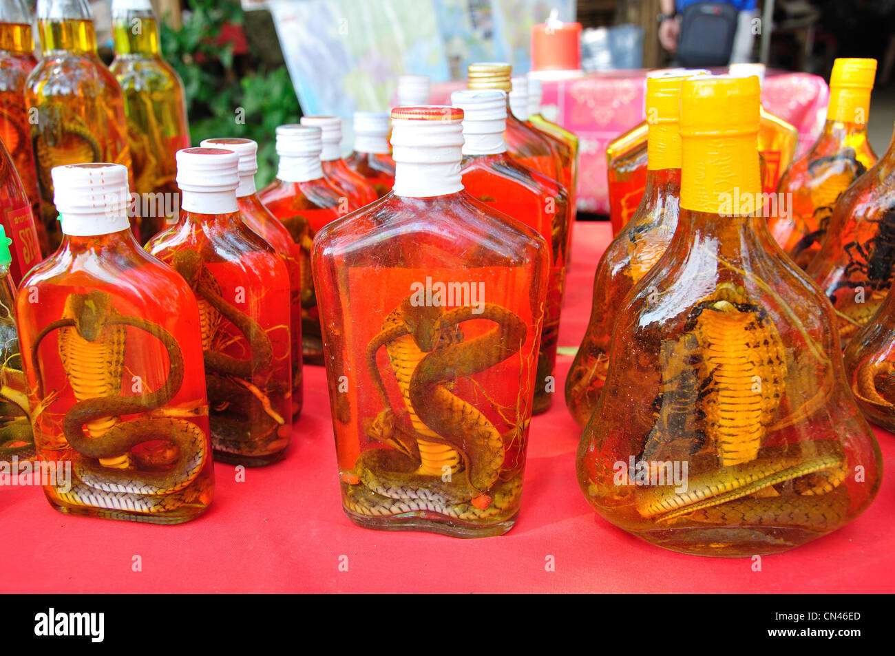Cobra vino per la vendita nel mercato turistico, Don Sae, Pak Tha Regione, Provincia Bokèo, Laos Foto Stock