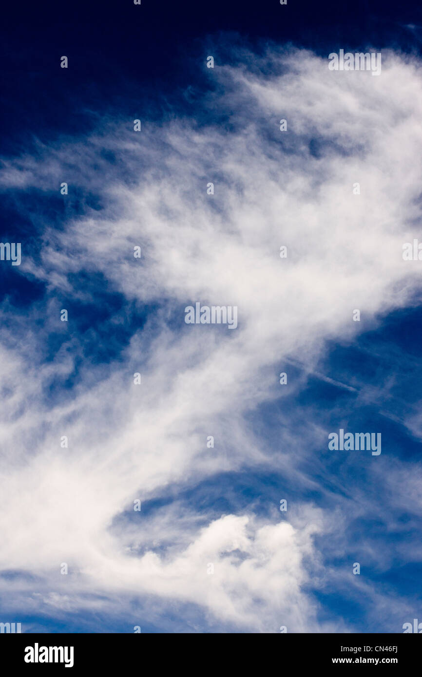 White cirrus nuvole contro il blu cobalto del cielo di Colorado Foto Stock