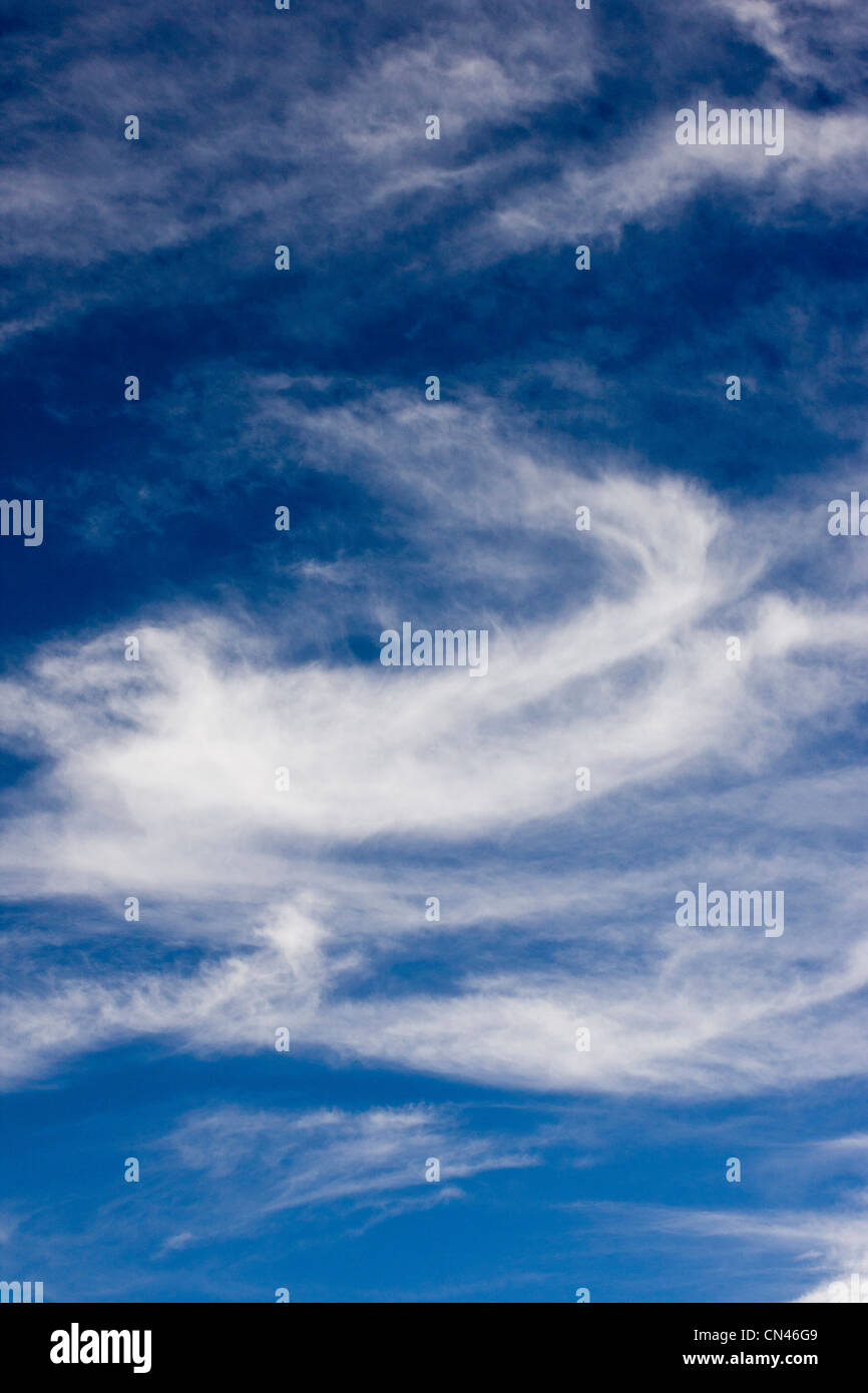 White cirrus nuvole contro il blu cobalto del cielo di Colorado Foto Stock