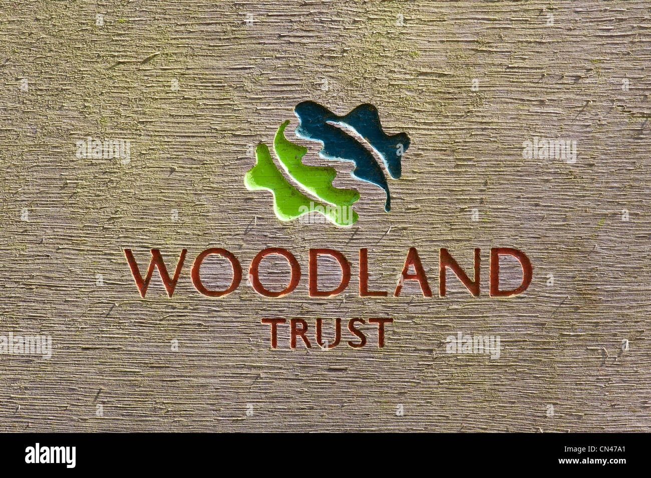 Woodland Trust segno scolpito in legno Foto Stock