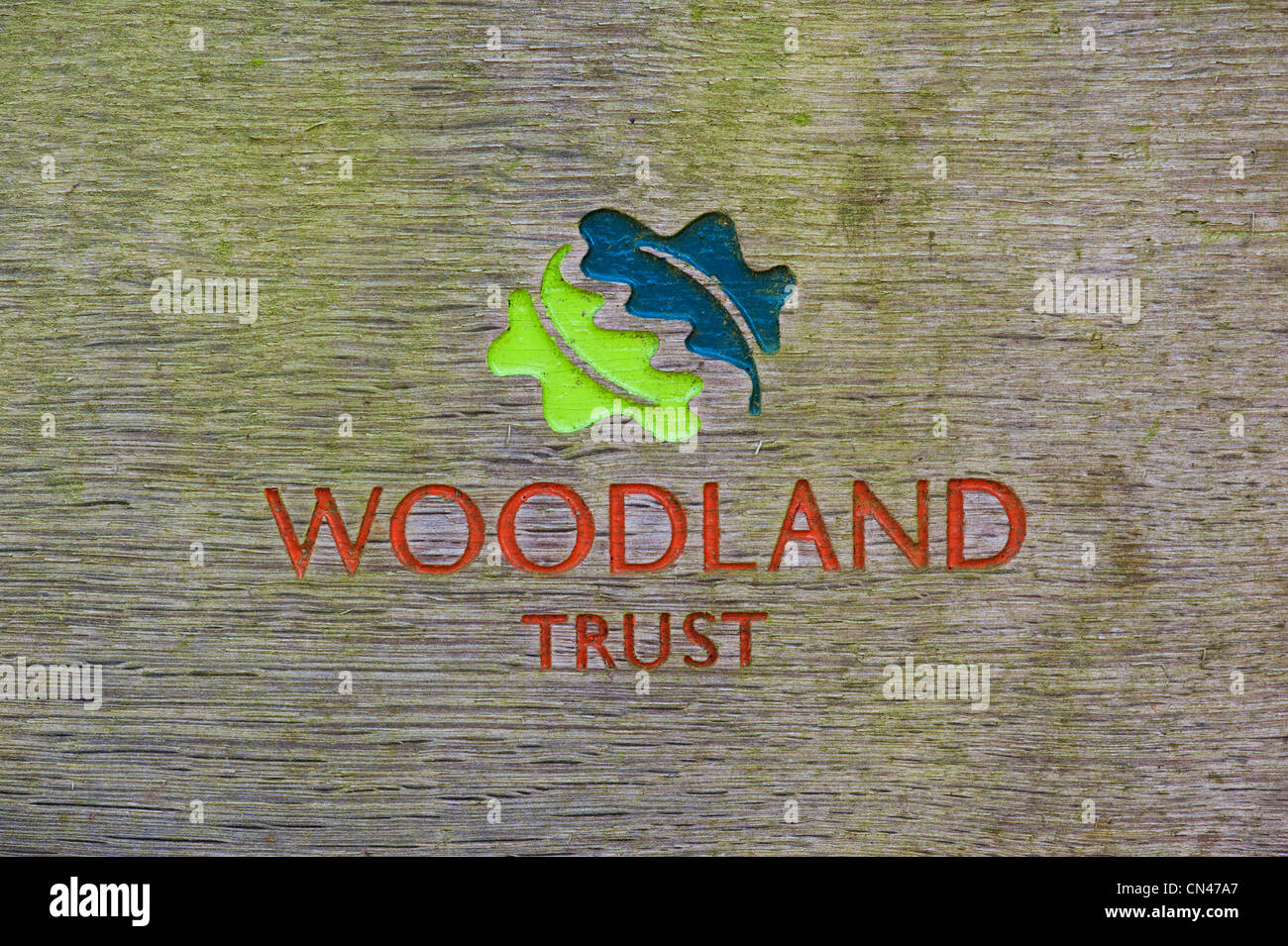 Woodland Trust segno scolpito in legno Foto Stock