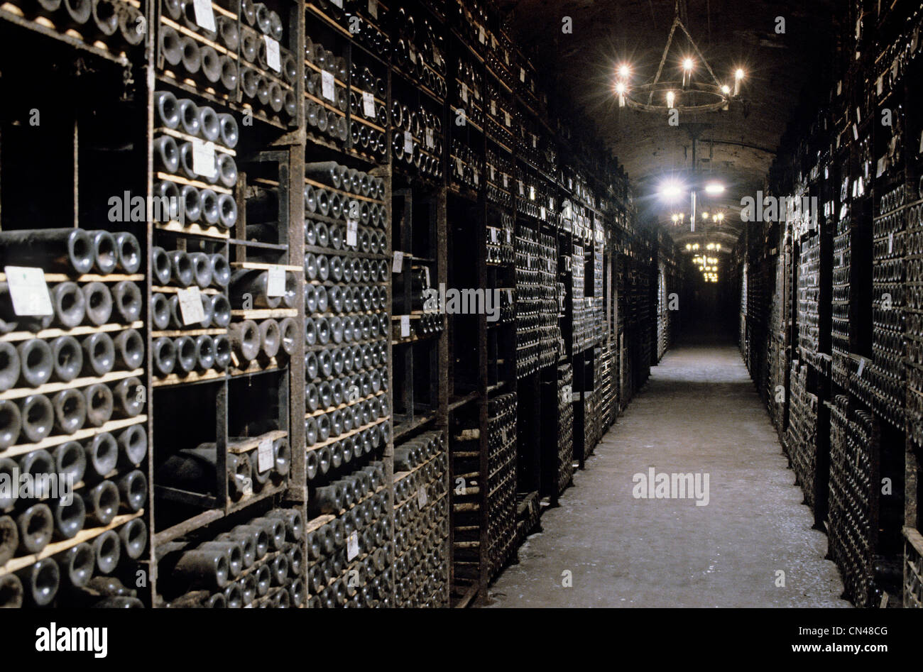 Francia, Gironde, Pauillac, Chateau Mouton Rothschild, cantina della vecchia bottiglie vintage Foto Stock