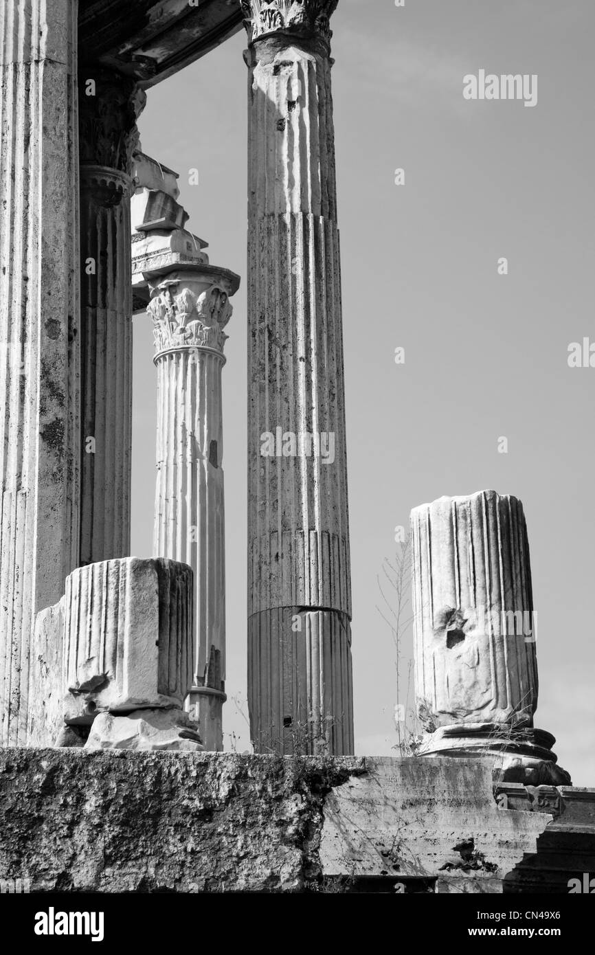 Roma - colonne del forum romanum Foto Stock