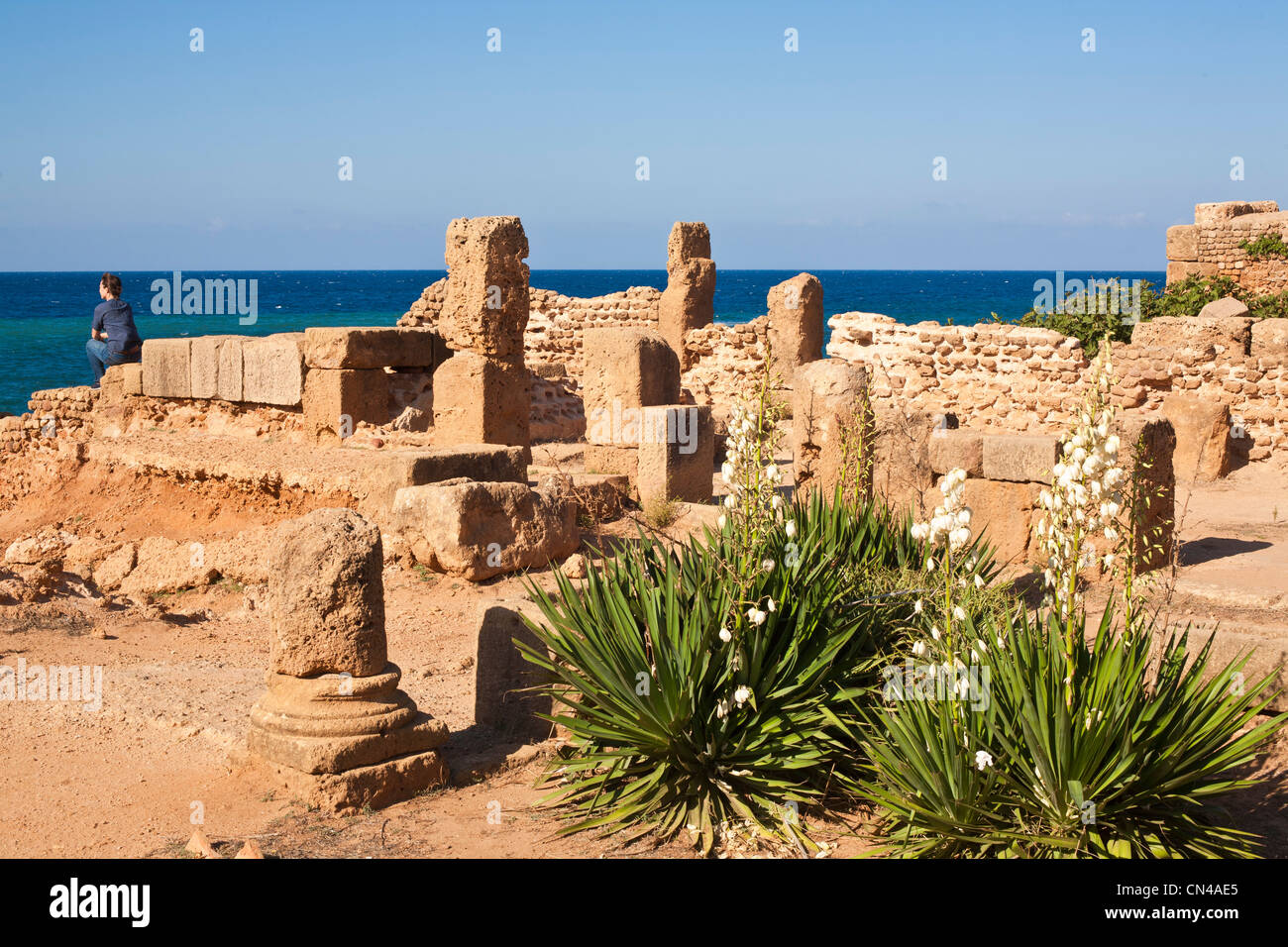 Algeria, Tipaza Wilaya, Tipasa della Mauritania rovine elencati come patrimonio mondiale dall' UNESCO, punica vecchio trading post occupata da Roma, Foto Stock