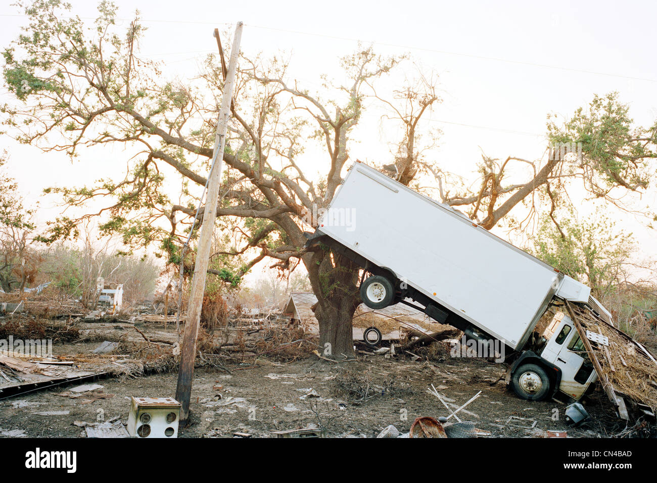 Carrello appeso nella struttura ad albero, conseguenze dell'uragano Katrina, Plaquemines Parish, Louisiana, Stati Uniti d'America Foto Stock