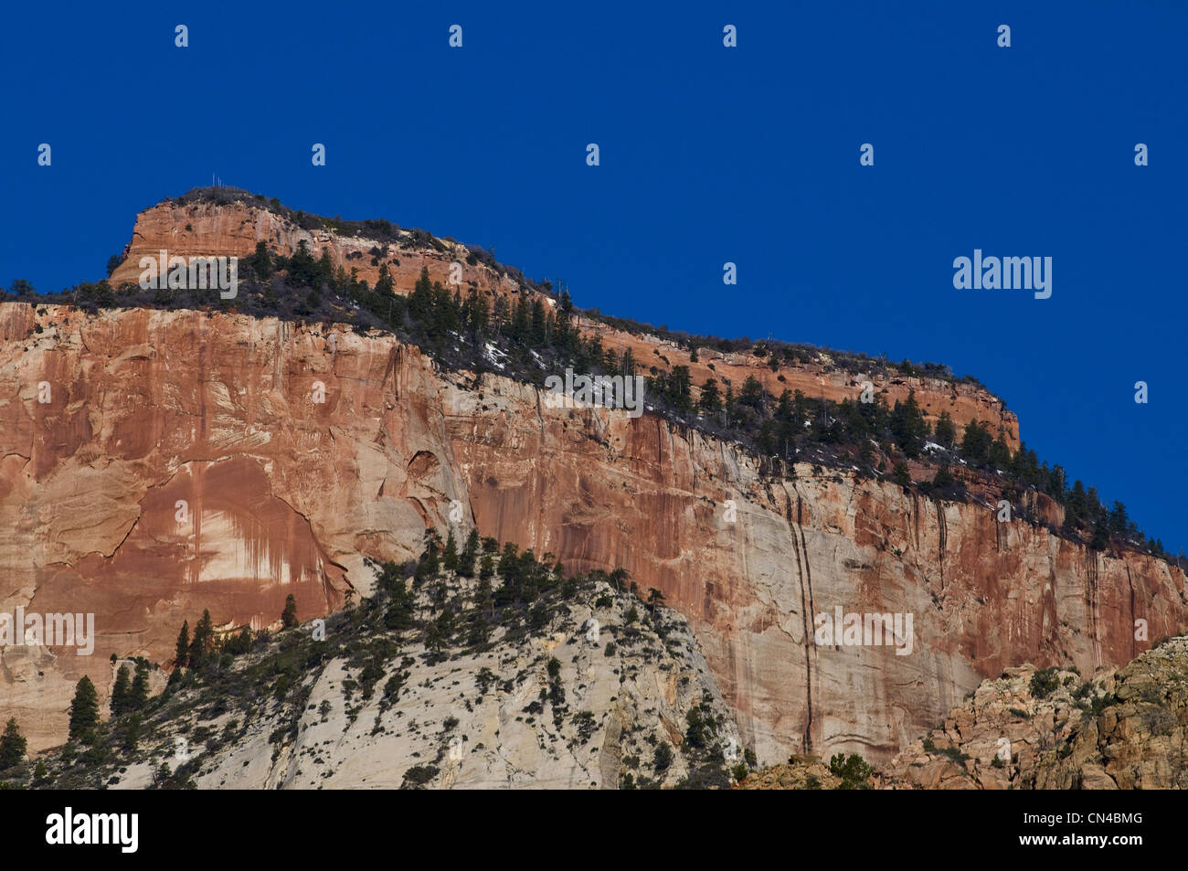 Stati Uniti, Utah, Parco Nazionale Zion, vista dalla strada statale numero 9, area di Springdale Foto Stock