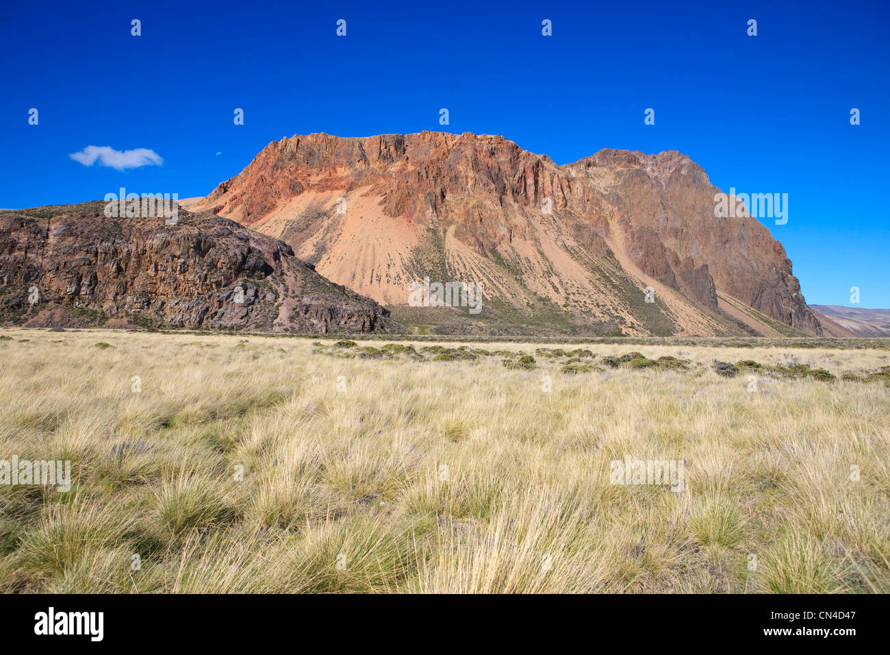 Argentina, Patagonia, Santa Cruz provincia, Perito Moreno national park, steppa ai piedi di un vulcano Foto Stock