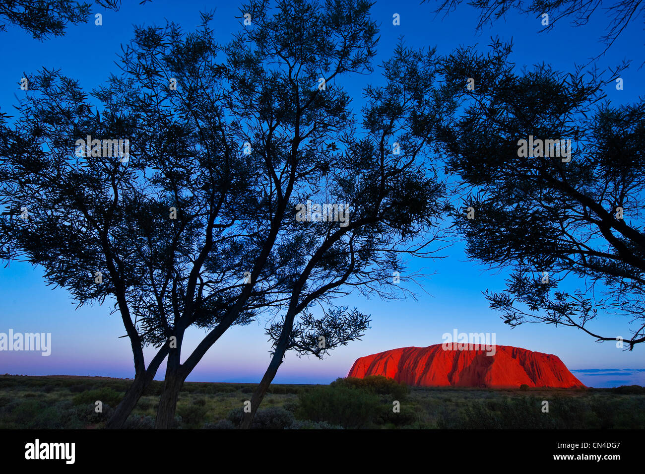 Australia, Territorio del Nord, Uluru-Kata Tjuta National Park sono classificati come patrimonio mondiale dall' UNESCO, Ayers Rock o Uluru , Foto Stock