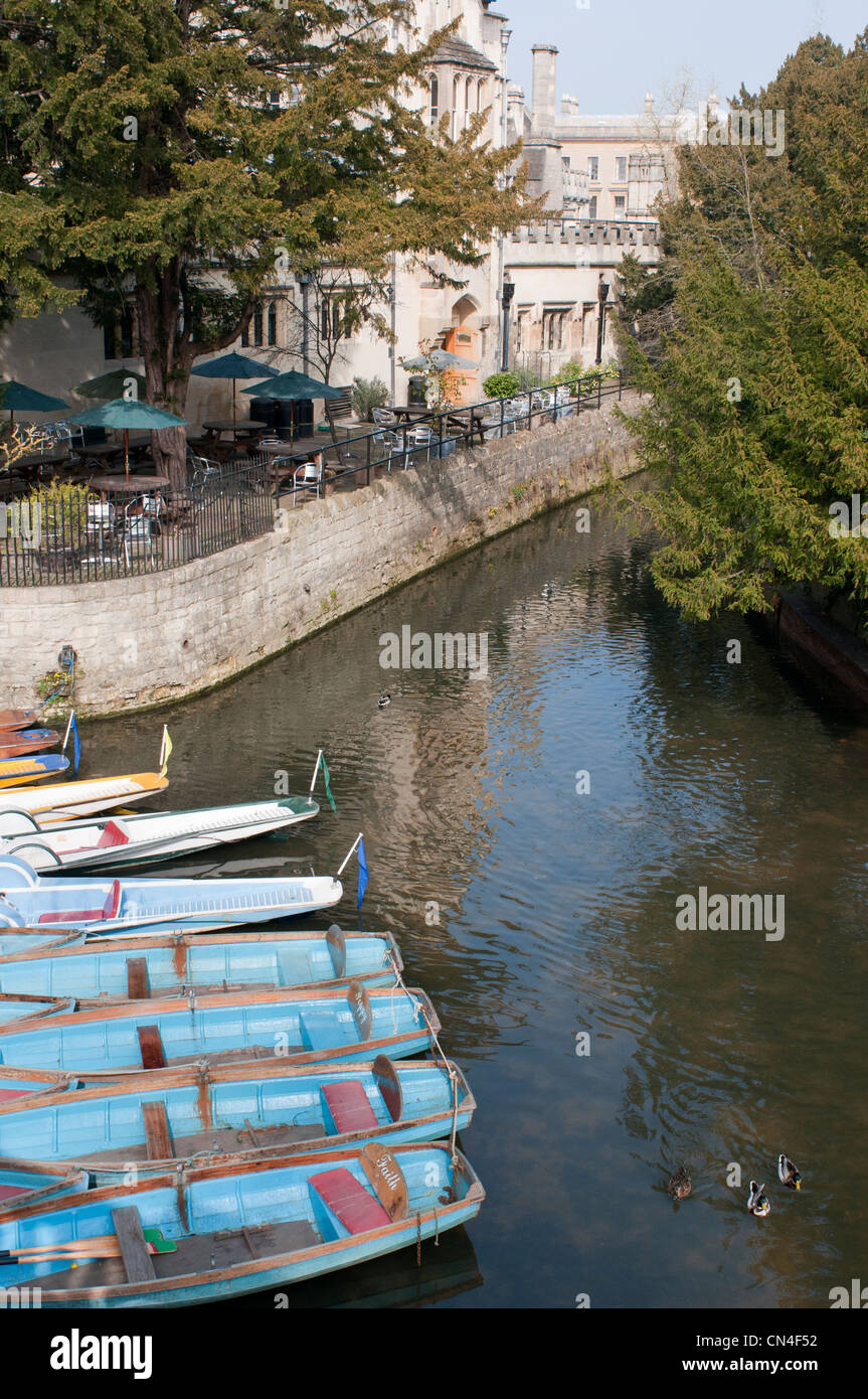 Ormeggiate barche a remi a noleggio sul fiume Cherwell, Oxford, Regno Unito Foto Stock
