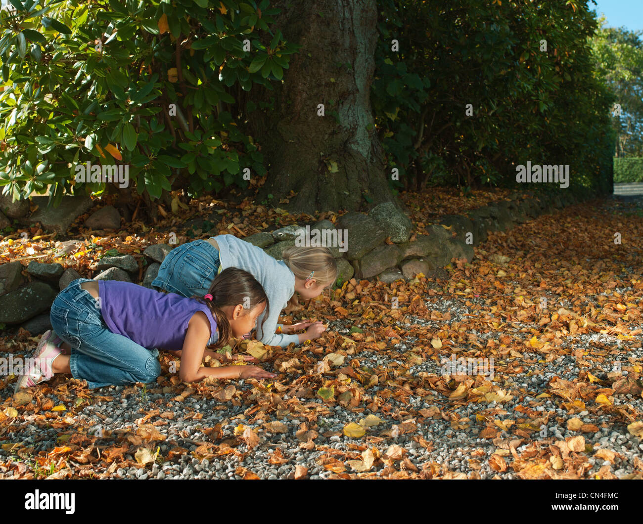 Due ragazze ricerca su foglie di autunno Foto Stock