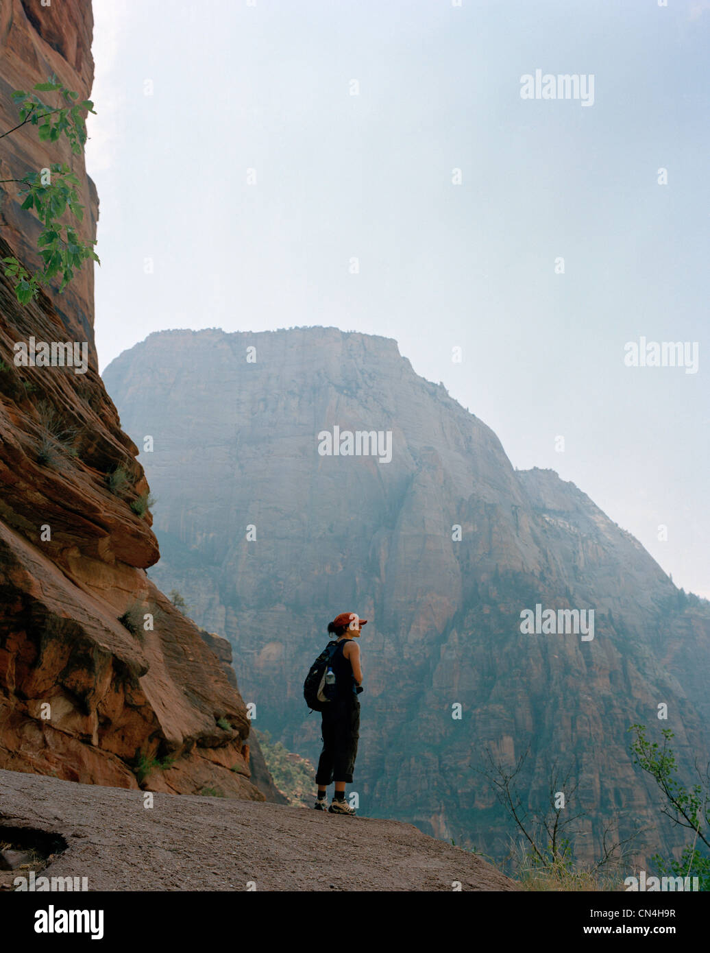 Donna alla montagna, si affacciano sul Parco Nazionale di Zion, Utah Foto Stock