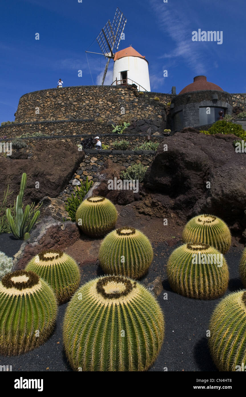 Spagna isole canarie Lanzarote Island, nord-est dell isola, pena des Silbo regione, il giardino dei cactus win mill e Cactaceae Foto Stock