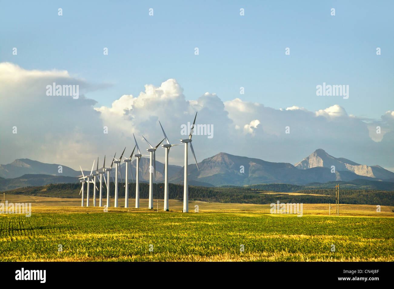 Le turbine eoliche, dei rulli di estrazione Creek, Alberta, Canada Foto Stock