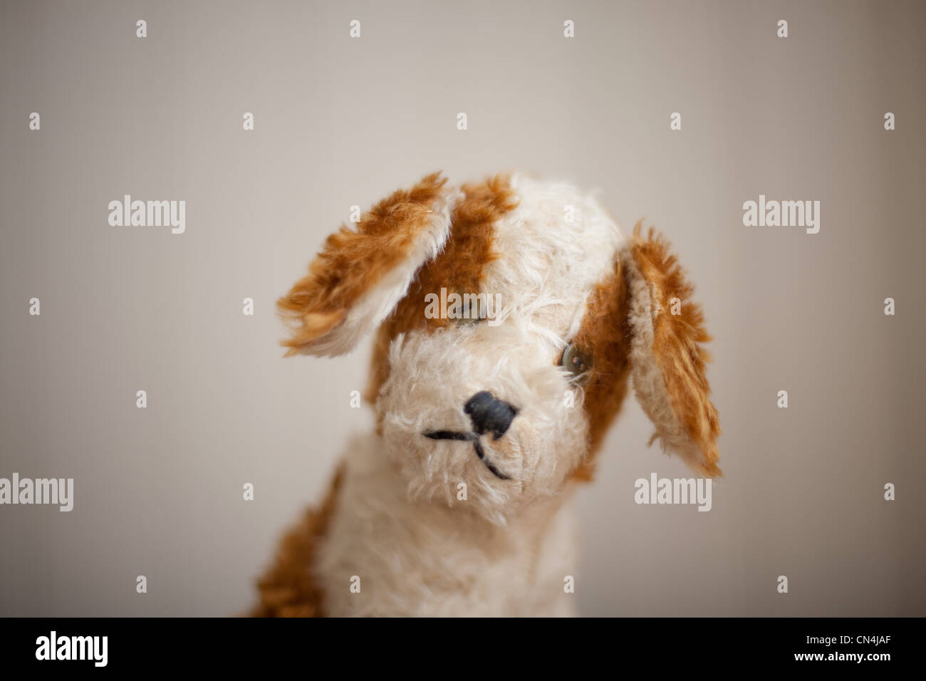 Cane di giocattolo molle Foto Stock