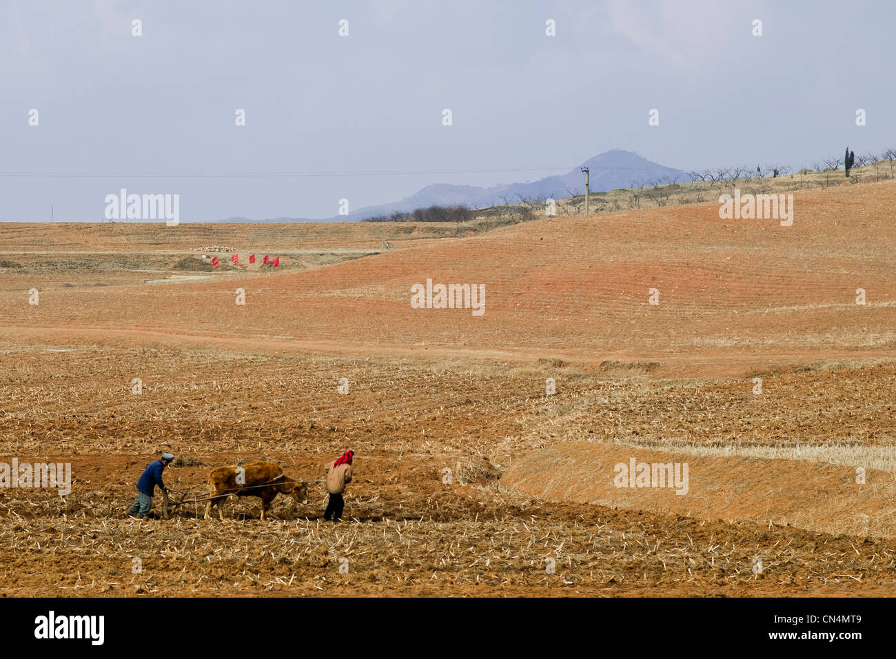 La Corea del Nord, Sud Pyongan provincia, contadini arare i campi Foto Stock