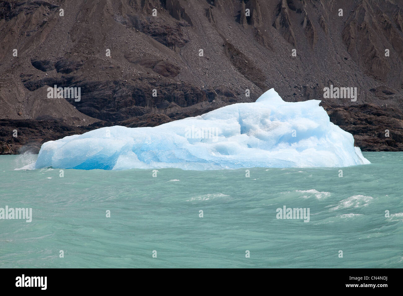 Il Cile, Patagonia, regione Aisen, Capitan Prat provincia, iceberg su O'Higgins lago Foto Stock