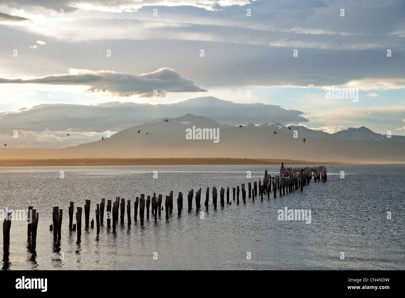 Il Cile, Patagonia, Magallanes e Antartide regione cilena, Ultima Esperanza provincia, Puerto Natales bay Foto Stock