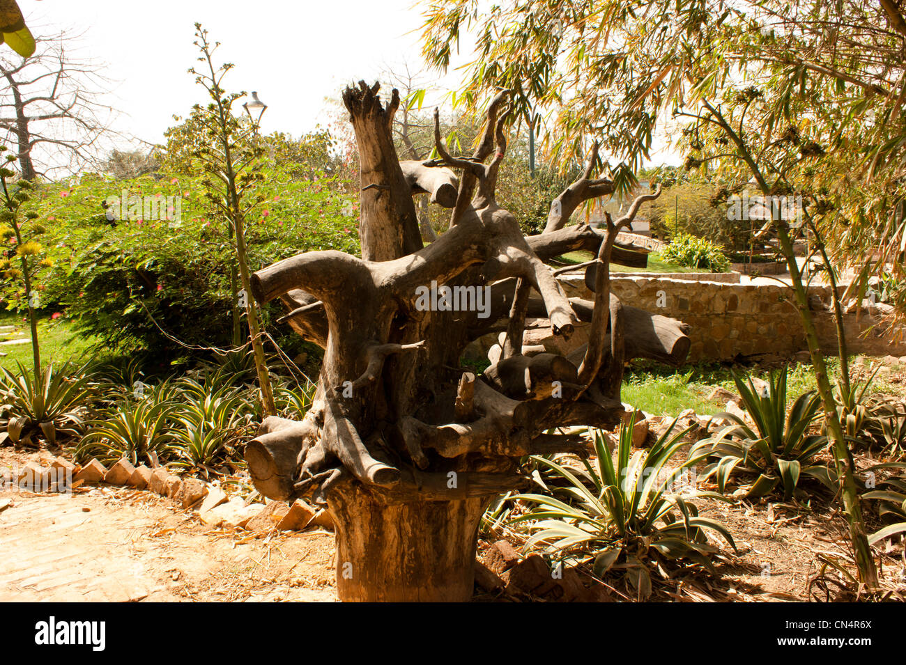 Una scultura in legno all'interno del Giardino dei 5 sensi nella parte Sud di Delhi. Il legno è sagomato a comparire in una forma e sembra bello. Foto Stock